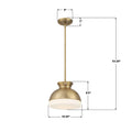 CRYSTORAMA, BRIAN PATRICK FLYNN GIDGET PENDANT, PENDANT LIGHT