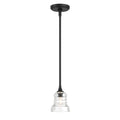 CRYSTORAMA, GREGORY PENDANT, PENDANT LIGHT