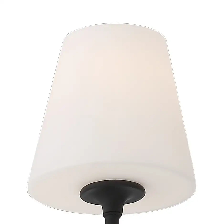 CRYSTORAMA, KEENAN LINEAR CHANDELIER, CHANDELIER LIGHT