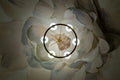 CRYSTORAMA, KEENAN CHANDELIER, CHANDELIER LIGHT