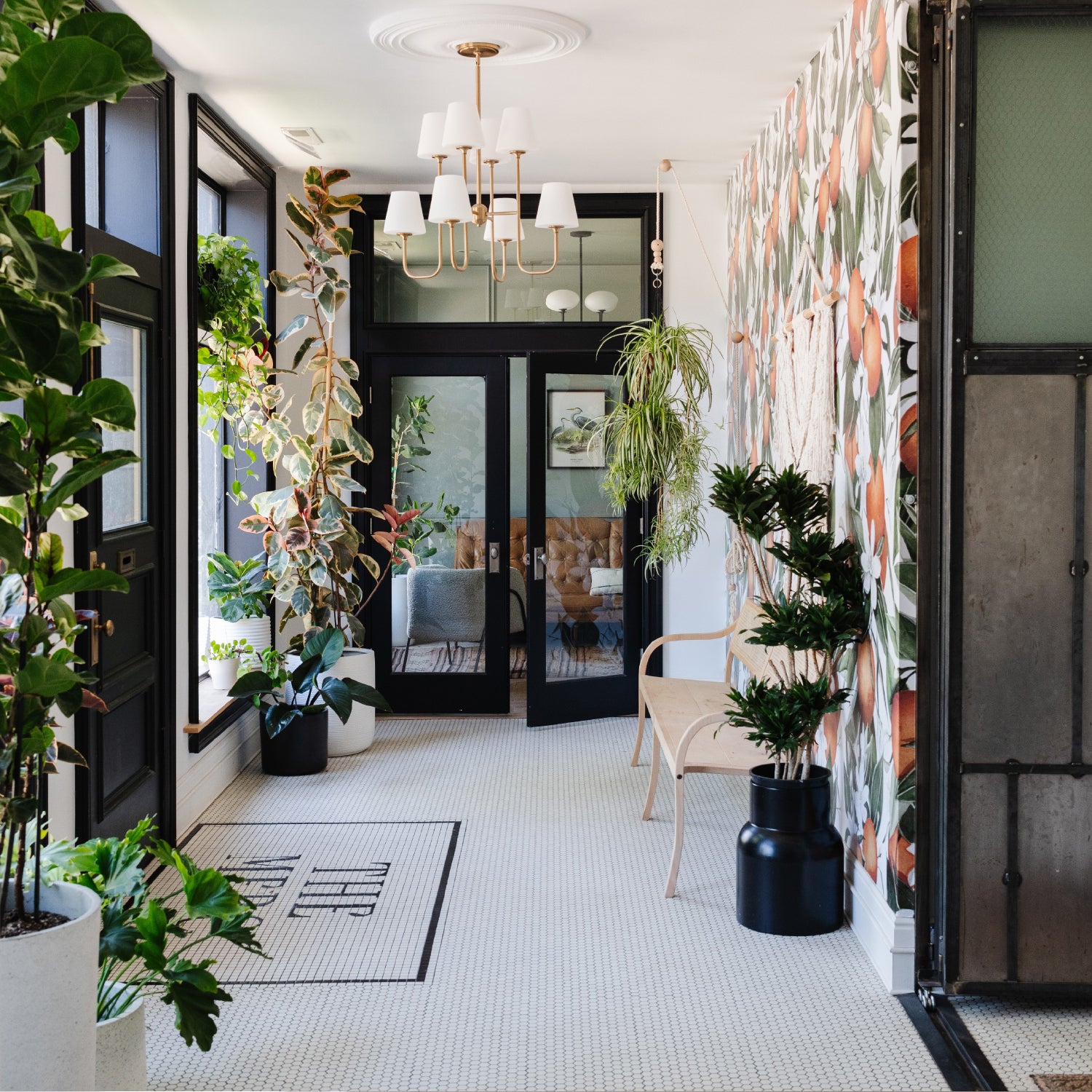 CRYSTORAMA, KEENAN CHANDELIER, CHANDELIER LIGHT