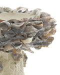 CURREY & COMPANY OYSTER SHELL BIRD BATH - Decorative Accents