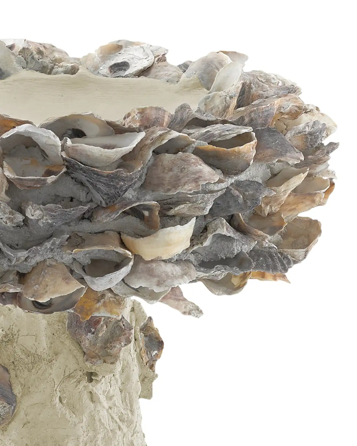 CURREY & COMPANY OYSTER SHELL BIRD BATH - Decorative Accents