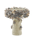 CURREY & COMPANY OYSTER SHELL BIRD BATH - Decorative Accents