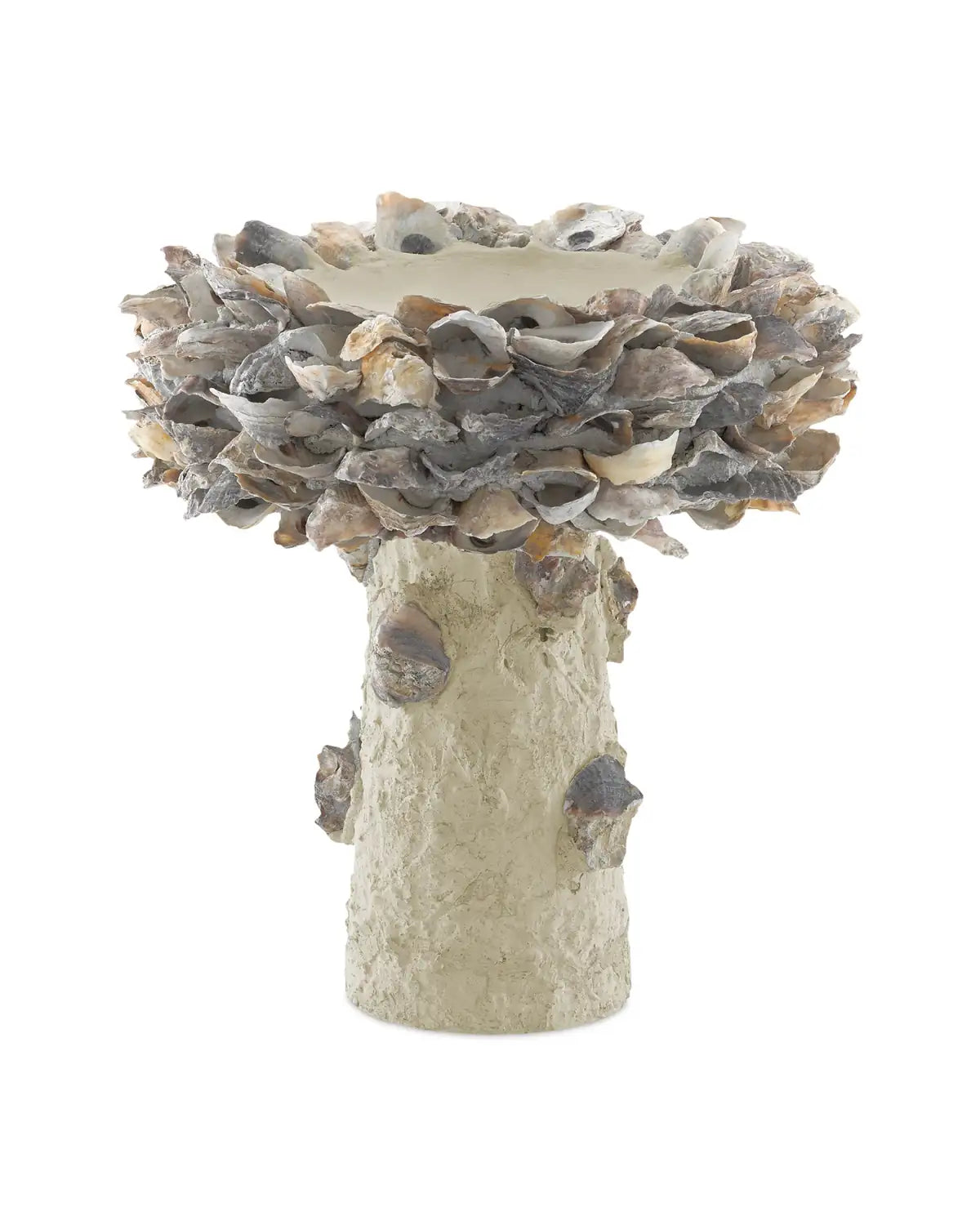 CURREY & COMPANY OYSTER SHELL BIRD BATH - Decorative Accents