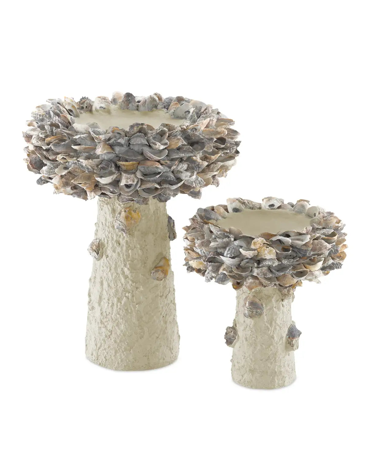 CURREY & COMPANY OYSTER SHELL BIRD BATH - Decorative Accents