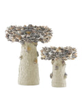 CURREY & COMPANY OYSTER SHELL BIRD BATH - Decorative Accents