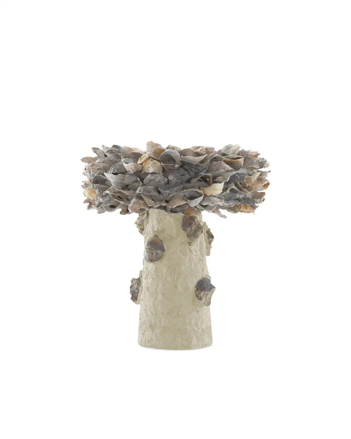CURREY & COMPANY OYSTER SHELL BIRD BATH - Decorative Accents