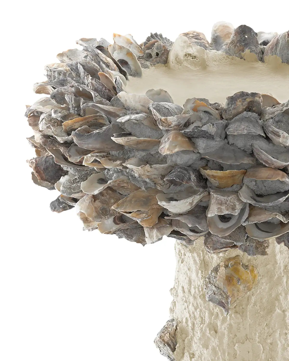 CURREY & COMPANY OYSTER SHELL BIRD BATH - Decorative Accents