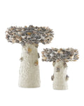 CURREY & COMPANY OYSTER SHELL BIRD BATH - Decorative Accents