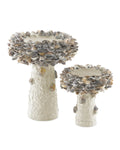 CURREY & COMPANY OYSTER SHELL BIRD BATH - Decorative Accents