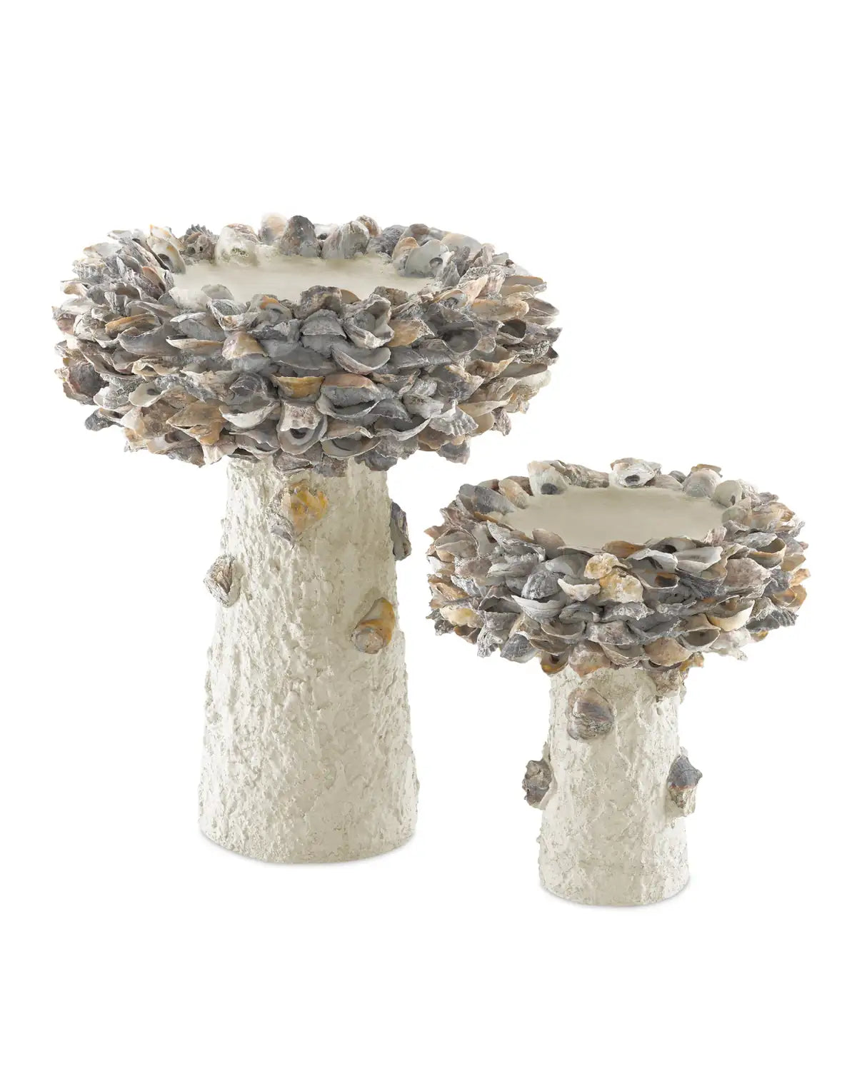 CURREY & COMPANY OYSTER SHELL BIRD BATH - Decorative Accents