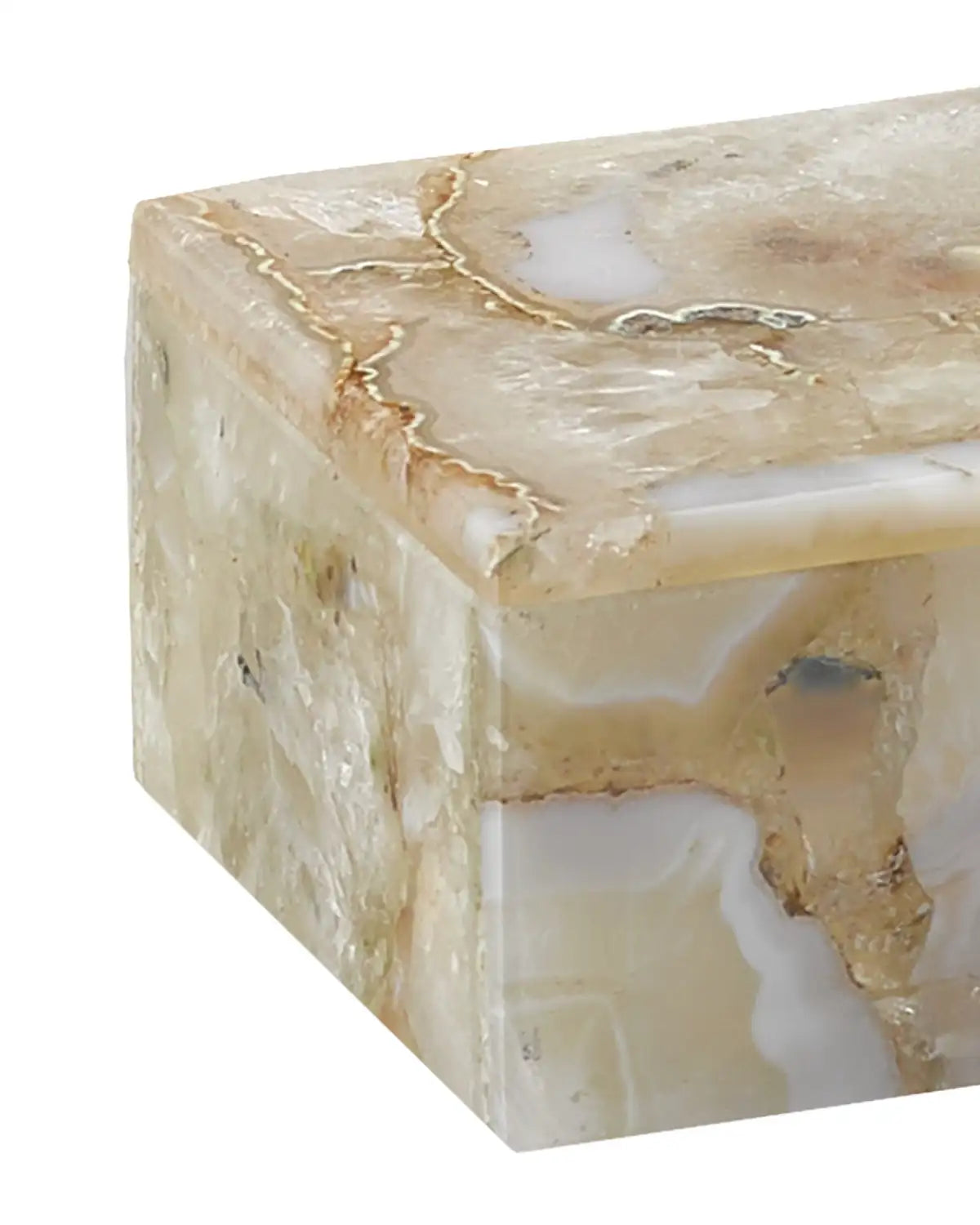 CURREY & COMPANY BENOIT BOX - Decorative Accents