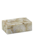 CURREY & COMPANY BENOIT BOX - Decorative Accents
