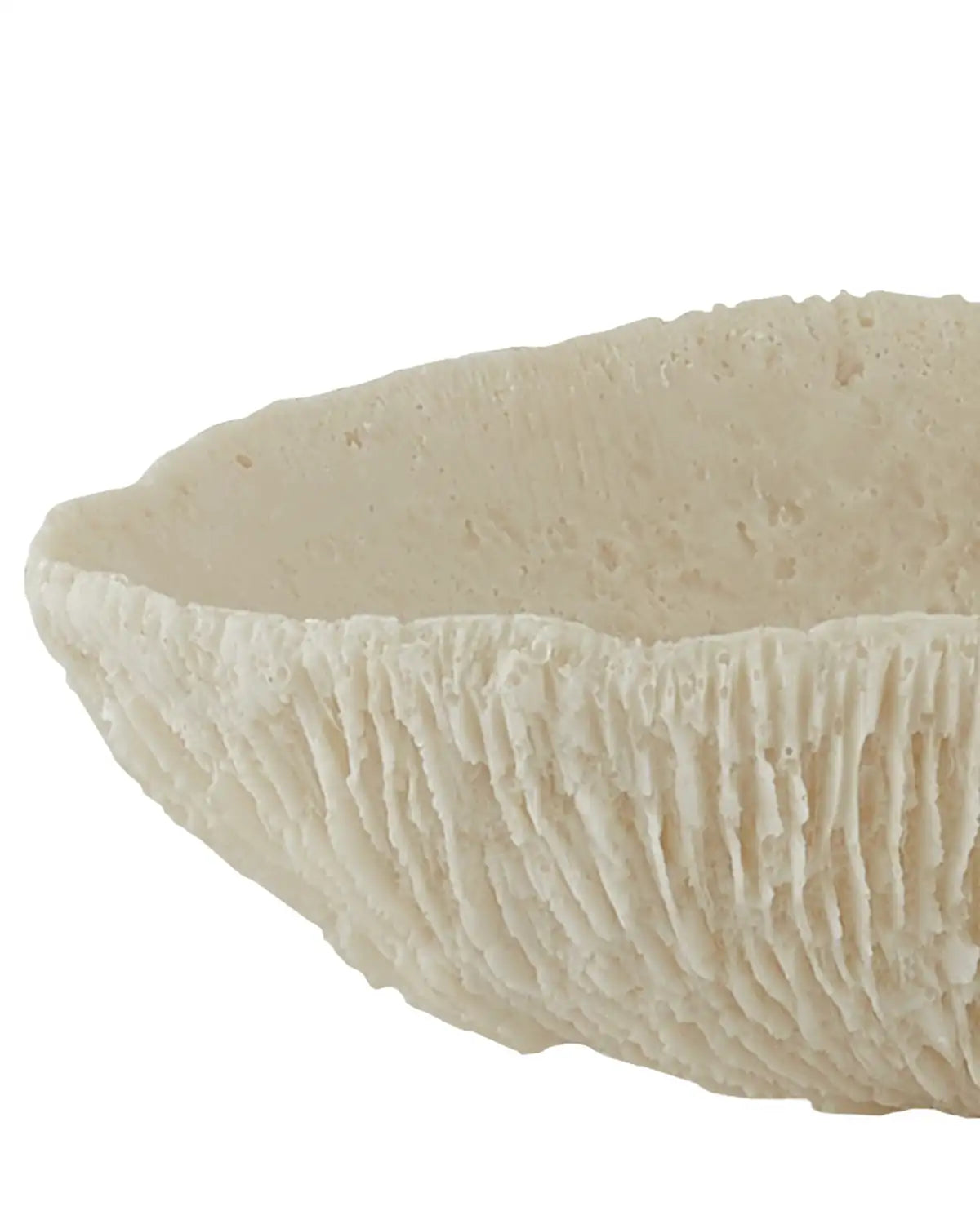 CURREY & COMPANY ISLAND TRAY SET OF 2 - Decorative Accents