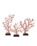 CURREY & COMPANY RED CORAL BRANCHES SET OF 3 - Decorative Accents