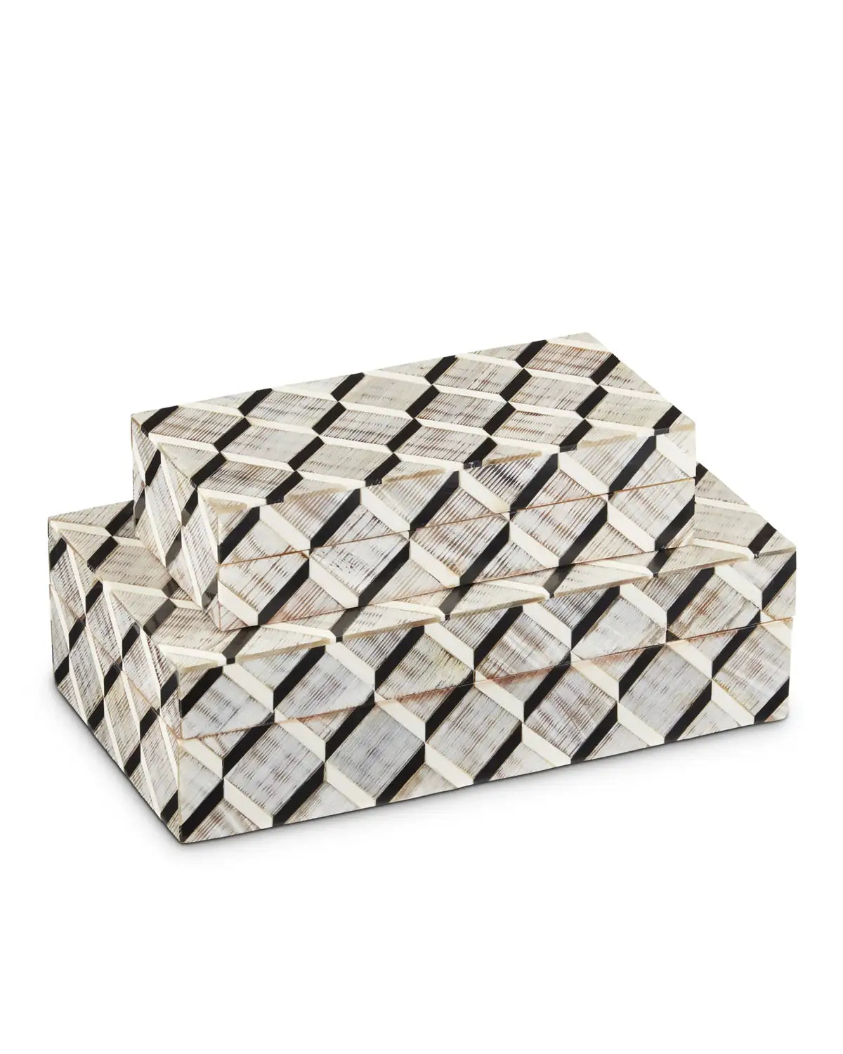 CURREY & COMPANY DERIAN BOX SET OF 2 - Decorative Accents