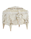 CURREY & COMPANY BOARDWALK SHELL JEWELRY BOX - Decorative Accents