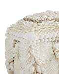 CURREY & COMPANY BOARDWALK SHELL JEWELRY BOX - Decorative Accents