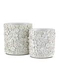 CURREY & COMPANY JESSAMINE CACHEPOT - Decorative Accents