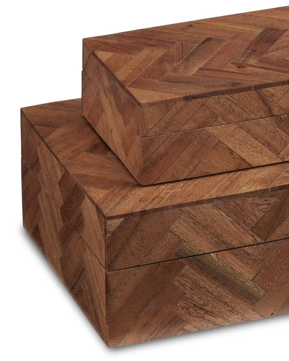 CURREY & COMPANY ALFEO WOOD BOX SET OF 2 - Decorative Accents
