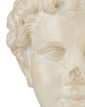 CURREY & COMPANY GREEK PRINCESS HEAD FRAGMENT - Decorative Accents