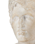 CURREY & COMPANY YOUNG ROYAL GREEK TORSO - Decorative Accents