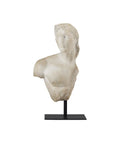 CURREY & COMPANY YOUNG ROYAL GREEK TORSO - Decorative Accents