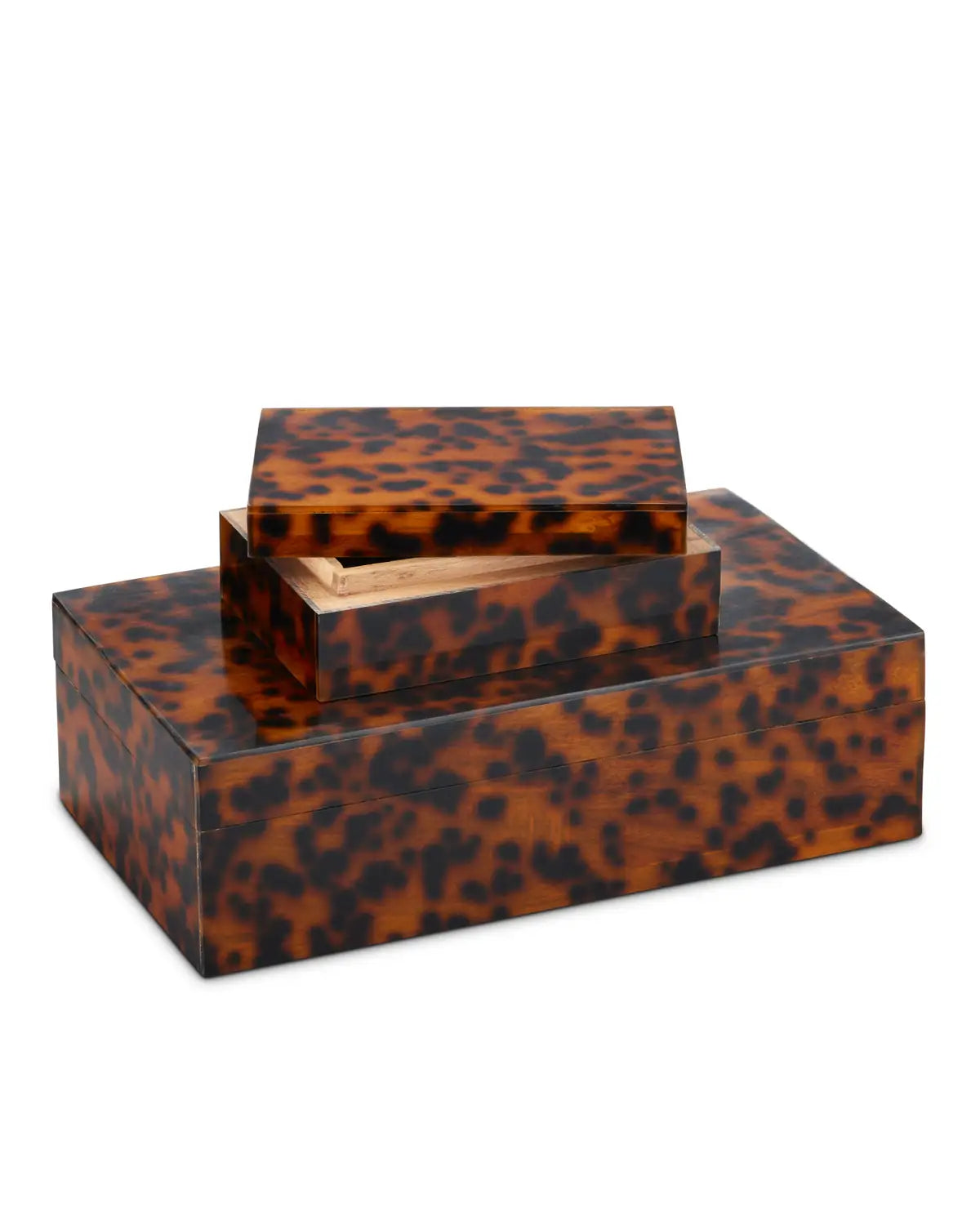 CURREY & COMPANY FAUX TORTOISE BOX SET OF 2 - Decorative Accents