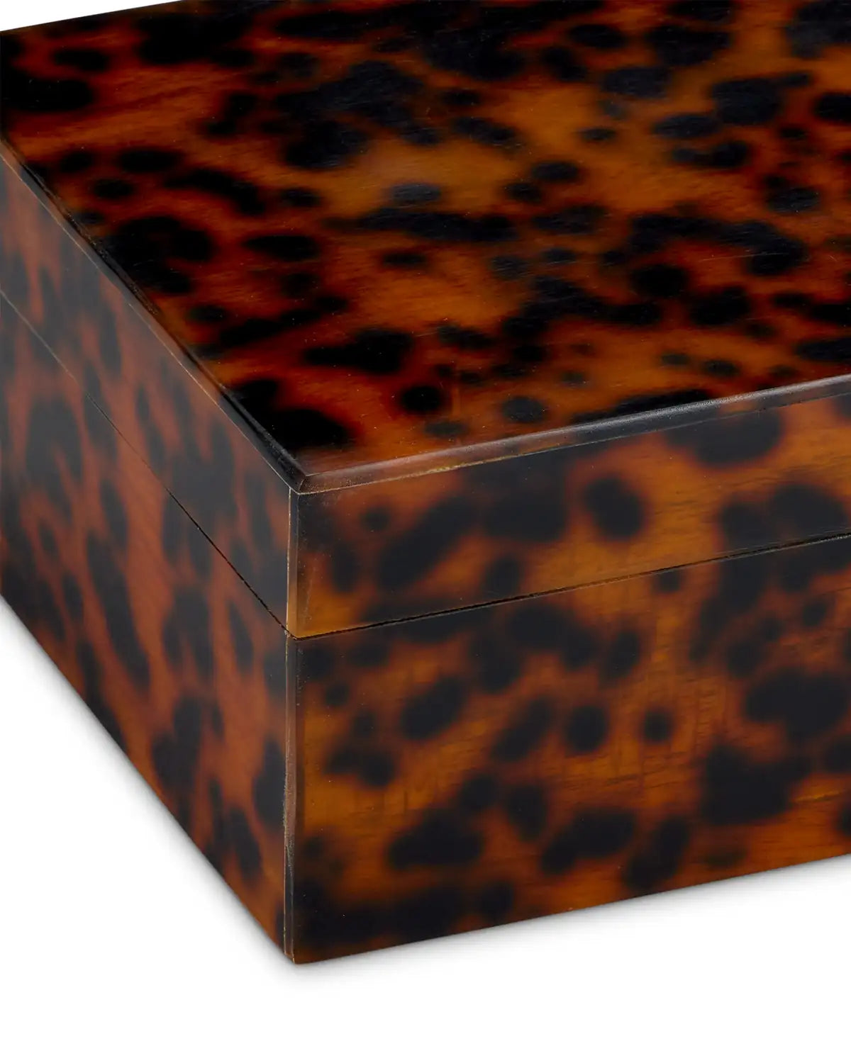 CURREY & COMPANY FAUX TORTOISE BOX SET OF 2 - Decorative Accents