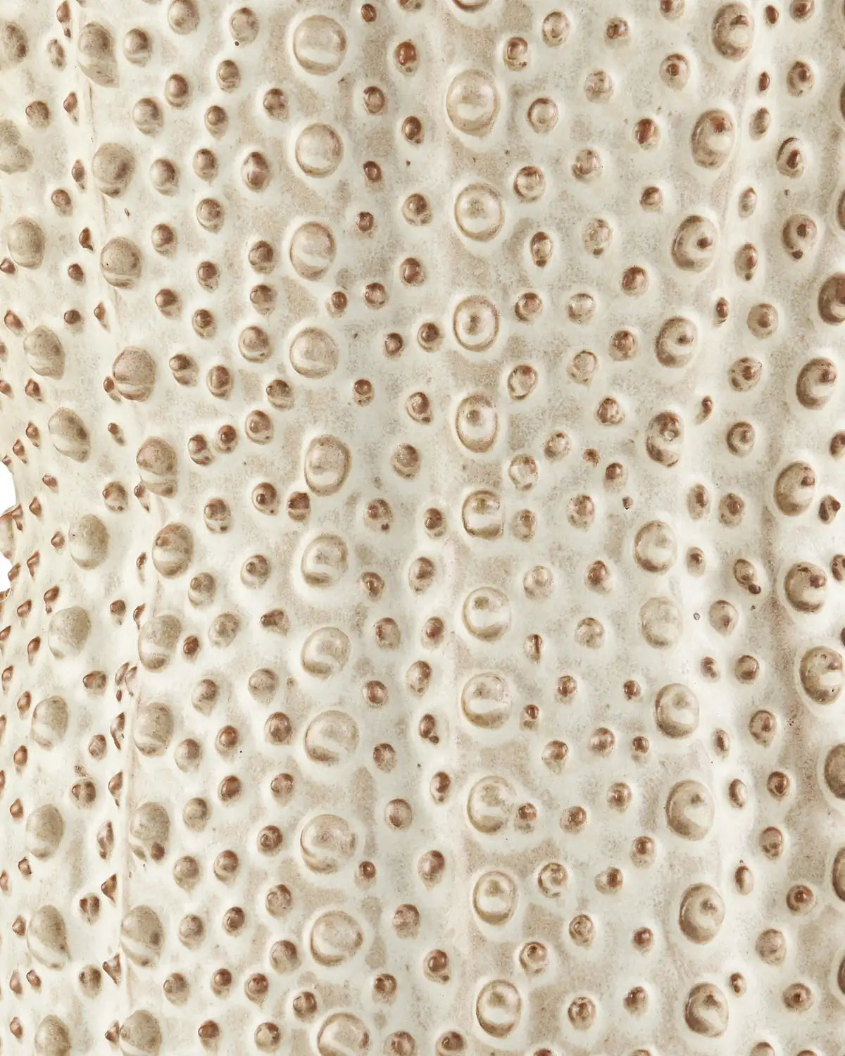 CURREY & COMPANY 1200-0743 fc1bbdf8-db19-46e8-8fef-395b882c6f58