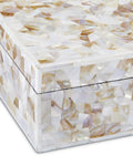CURREY & COMPANY UMA MOTHER OF PEARL BOX SET OF 2 - Decorative Accents