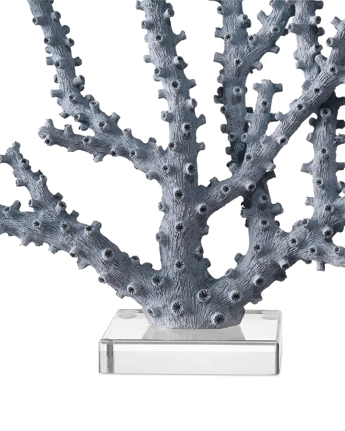 CURREY & COMPANY BLUE CORAL SET OF 2 - Decorative Accents