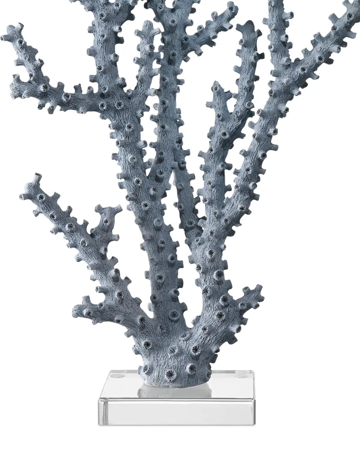 CURREY & COMPANY BLUE CORAL SET OF 2 - Decorative Accents