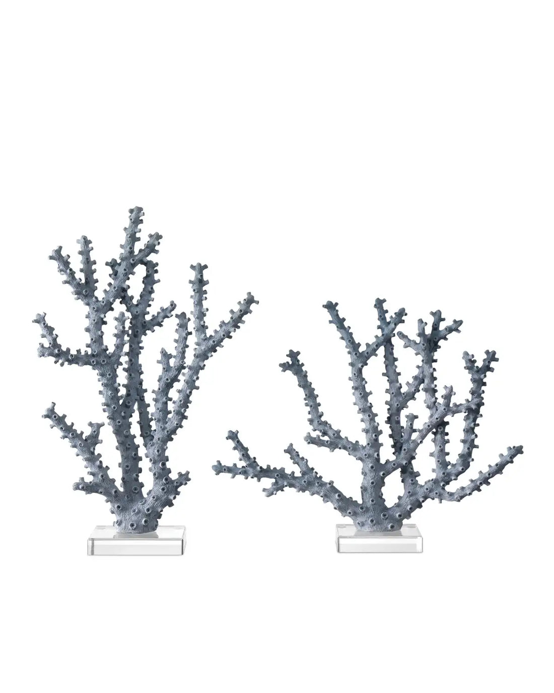 CURREY & COMPANY BLUE CORAL SET OF 2 - Decorative Accents