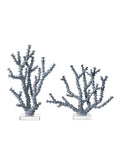 CURREY & COMPANY BLUE CORAL SET OF 2 - Decorative Accents