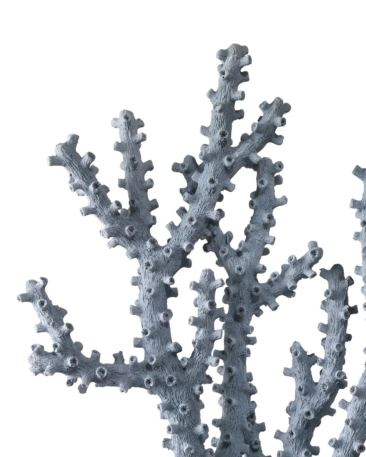 CURREY & COMPANY BLUE CORAL SET OF 2 - Decorative Accents