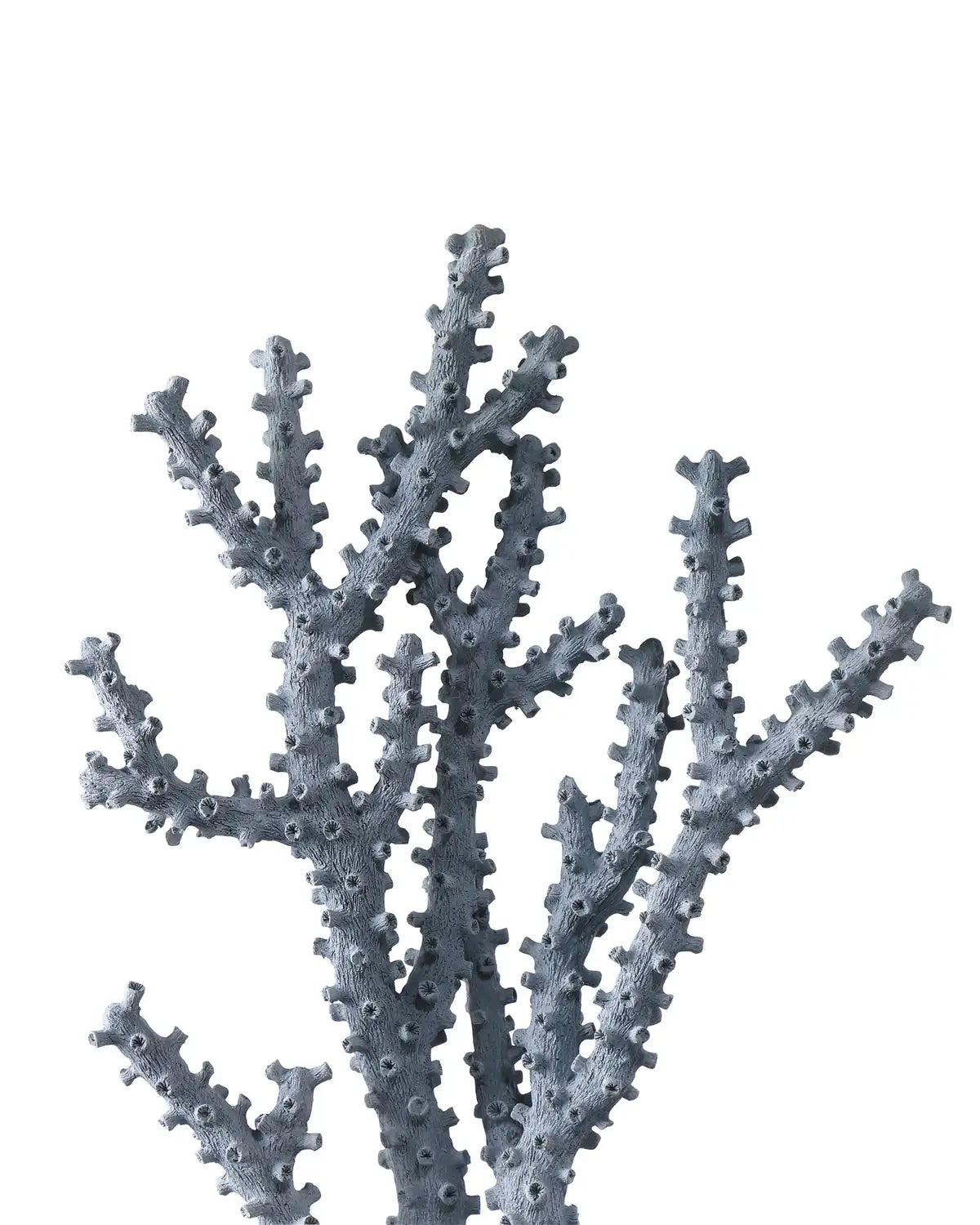 CURREY & COMPANY BLUE CORAL SET OF 2 - Decorative Accents