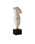 CURREY & COMPANY GODDESS VENUS - Decorative Accents
