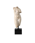 CURREY & COMPANY GODDESS VENUS - Decorative Accents