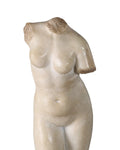 CURREY & COMPANY GODDESS VENUS - Decorative Accents