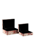 CURREY & COMPANY INTERSTELLAR BOX SET OF 2 - Decorative Accents