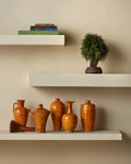 CURREY & COMPANY ROMULUS VASE SET OF 5 - Decorative Accents