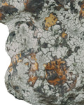 CURREY & COMPANY GROTESQUE VASE - Decorative Accents