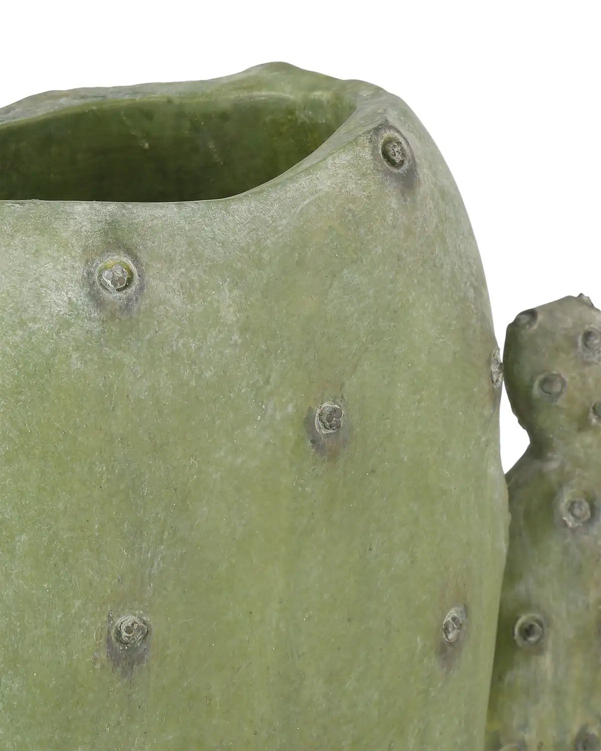 CURREY & COMPANY CACTUS VASE SET OF 3 - Decorative Accents