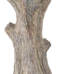 CURREY & COMPANY RAFAELA FLAMELESS/LED CANDELABRA - Decorative Accents