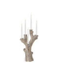 CURREY & COMPANY RAFAELA FLAMELESS/LED CANDELABRA - Decorative Accents