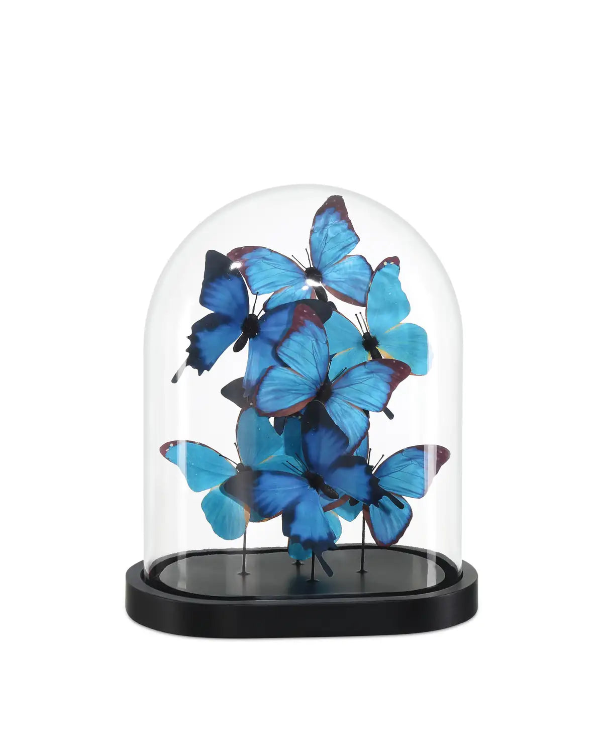 CURREY & COMPANY RUE DE BAC BLUE BUTTERFLIES - Decorative Accents