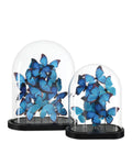 CURREY & COMPANY RUE DE BAC BLUE BUTTERFLIES - Decorative Accents