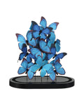 CURREY & COMPANY RUE DE BAC BLUE BUTTERFLIES - Decorative Accents